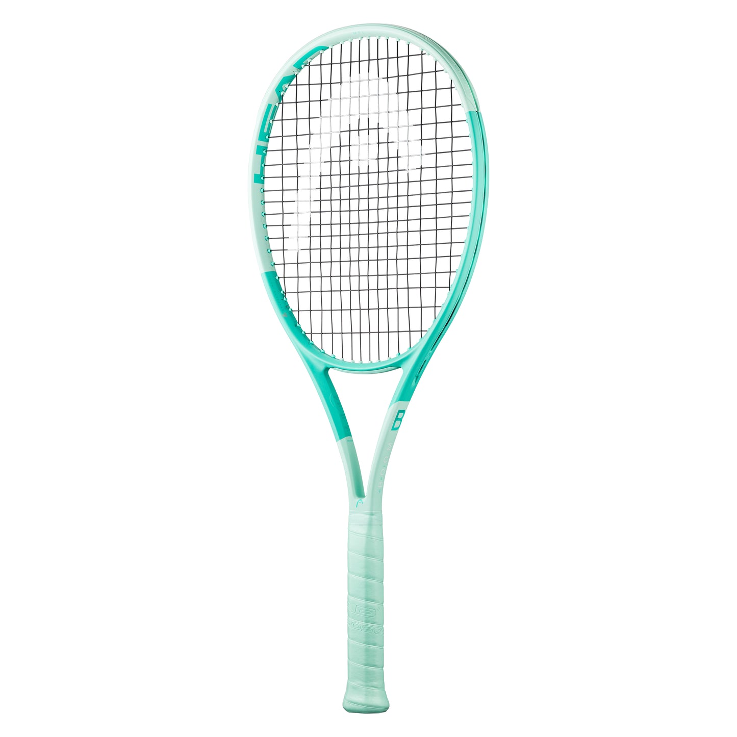 Boom MP L 2024 Alternate